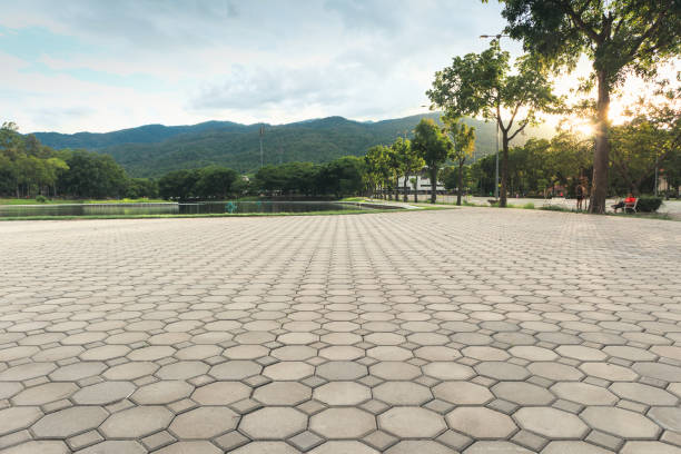 Best Residential Driveway Paver Services  in Valley, NE